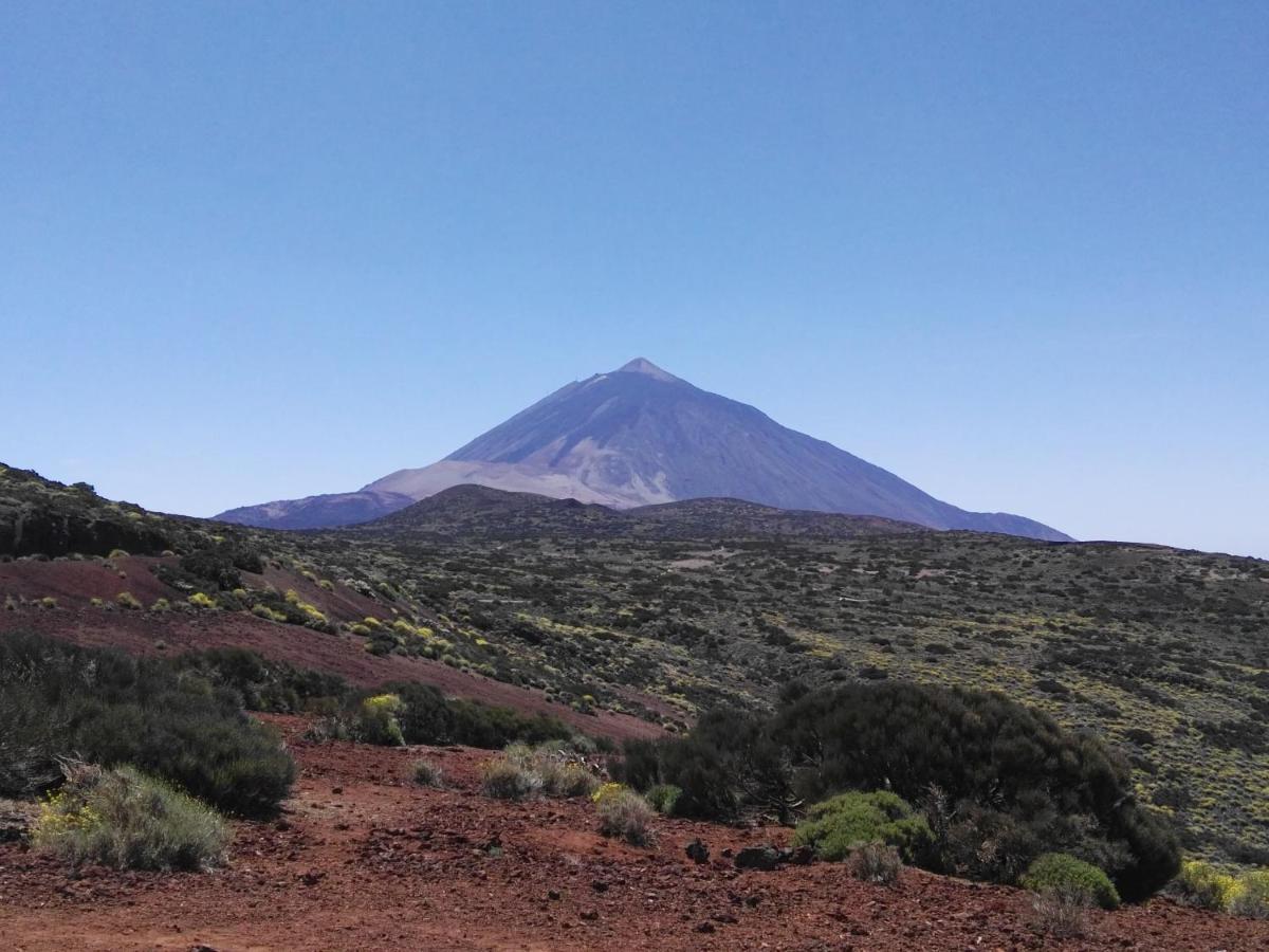 Los Diamantes Komfort Los Cristianos  Dış mekan fotoğraf
